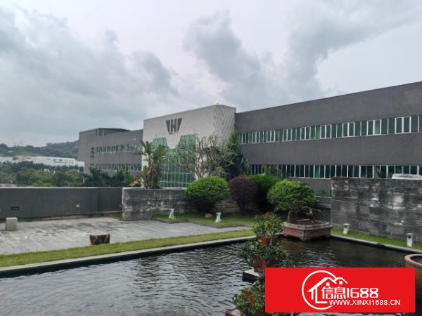 清溪三中原房东厂房实际面积出租，A栋3楼一整层实际面积3000平方米，B栋，4楼3000平方米，5楼3000平方米，实际面积出租