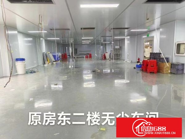 东莞长安沙头新出原房东精装带无尘车间1560平方，厂房形象好！黄金地段！全新精装修办公室，无尘车间
