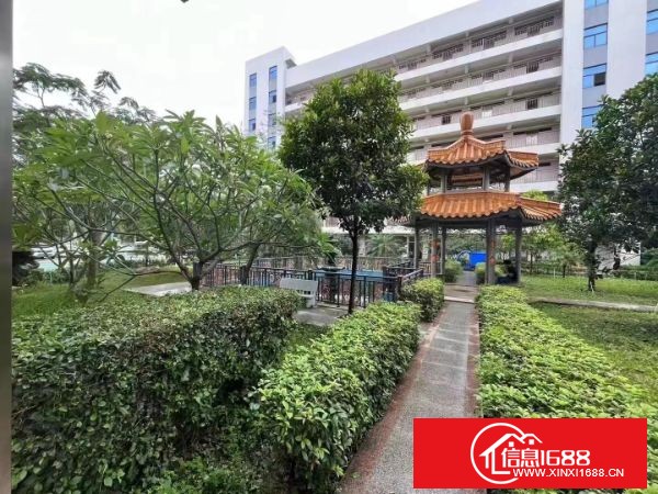 东莞塘厦大坪高速出口，新出原房东楼上标准厂房1500平方，周边配套齐全，园区高端上档次