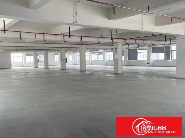 东莞塘厦大坪高速出口，新出原房东楼上标准厂房1500平方，周边配套齐全，园区高端上档次