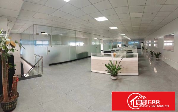 东莞横沥新出砖墙单一层钢结构砖墙到顶 滴水8米 厂房共2栋，2800➕2800平方 可2栋整租 可分租一栋