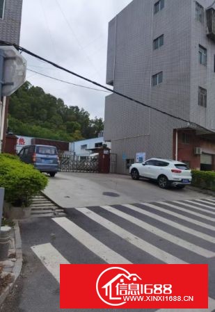 龙岗宝龙街道同德社区原房东招租：一楼钢构1500平滴水6.5米，柱子带牛腿，另有办公室带装修120平，宿舍280平，按实际面积出租