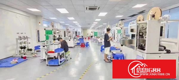 东莞长安原房东独院2800平，厂房1-3层2200平，宿舍1-3层600平，办公室精装修