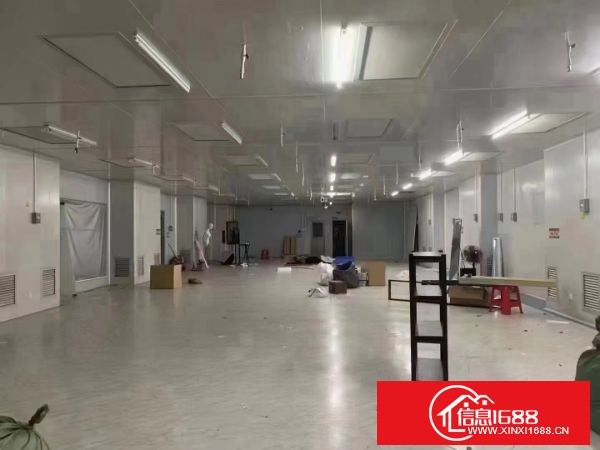 东莞塘厦横塘，新出楼上无尘车间1200㎡ 价格便宜，形象好，有装修