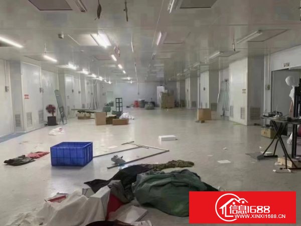 东莞塘厦横塘，新出楼上无尘车间1200㎡ 价格便宜，形象好，有装修