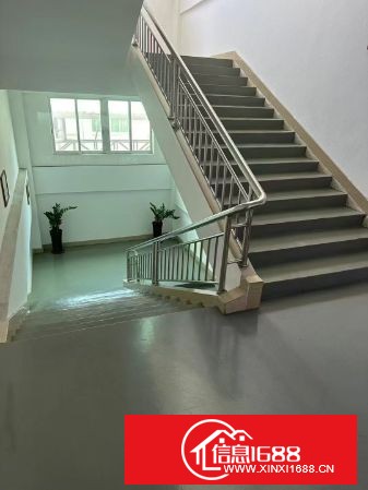 东莞东坑黄屋新出独院2层标准厂房2层5000平方一楼高6米 宿舍2000平方 办公楼500平方，精装修，