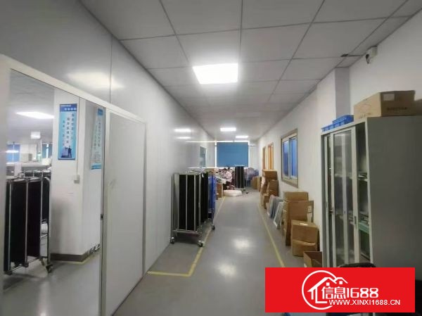 东莞塘夏大坪原房东整层1200平，实际面积18元一平，有装修，无尘车间，可分租