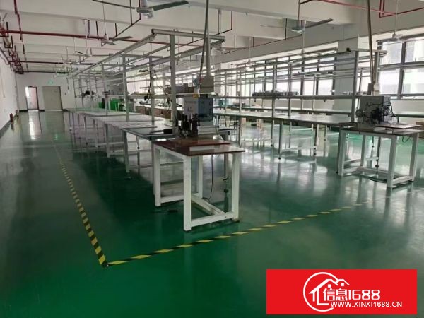 东莞凤岗碧湖大道原房东全新厂房3楼1500平米 4台3吨电梯 地段好 楼层好，可分租