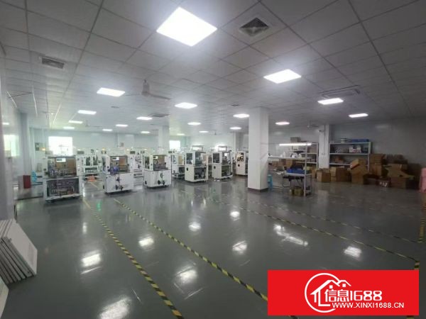 福永塘尾楼上650平实际面积，现成精装修厂房！