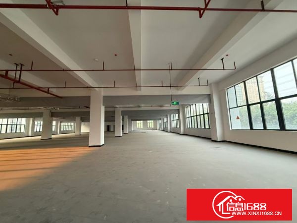 东莞塘厦原房东全新厂实际面积出租A栋1500一层，1.2.5.6.8楼出租，可分租