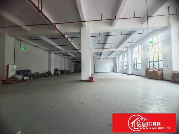 东莞塘厦原房东全新厂实际面积出租A栋1500一层，1.2.5.6.8楼出租，可分租