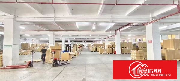东莞长安霄边临近深圳，整栋3层15600㎡，现成卸货平台，水电办公室，大小面积分租