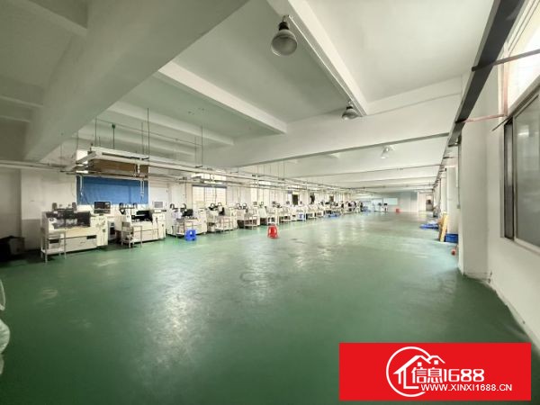 长安镇乌沙原业主分租 一楼300平，二楼800平，主线、办公室齐全，洗手间装修齐全