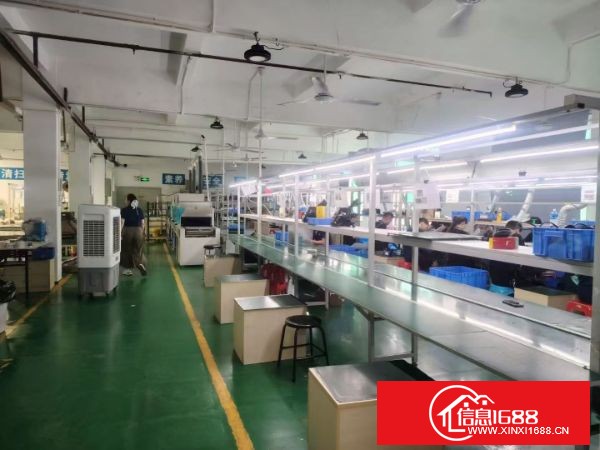 石岩塘头整层1100平方精装修厂房 前台，办公室车间，仓库，格局非常好