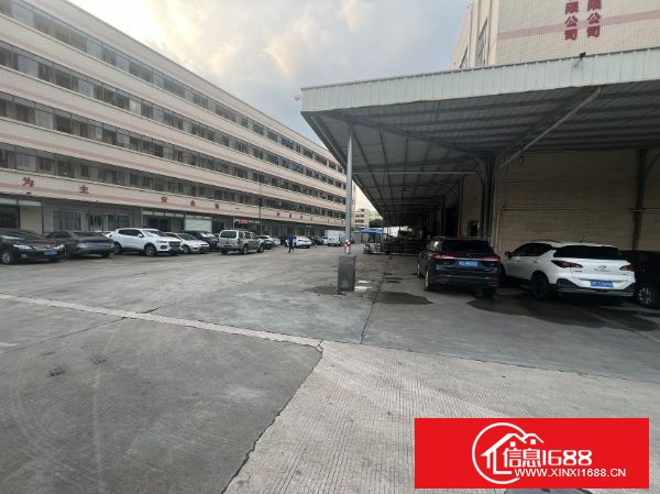 松岗罗田原房东直租 厂房三层共6900平方，大小可分 一楼6米高