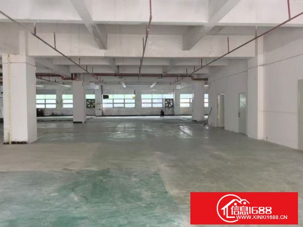 东莞长安镇新安社区标准厂房2楼1200平方，重工业厂房可承重，车间超大主线到位，带玻璃办公室，格局方正面积实用