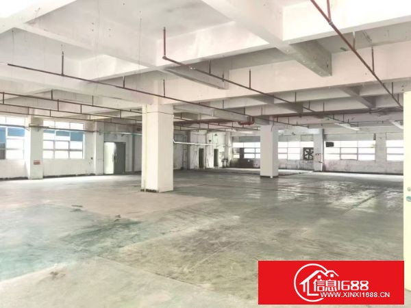 东莞长安镇新安社区标准厂房2楼1200平方，重工业厂房可承重，车间超大主线到位，带玻璃办公室，格局方正面积实用