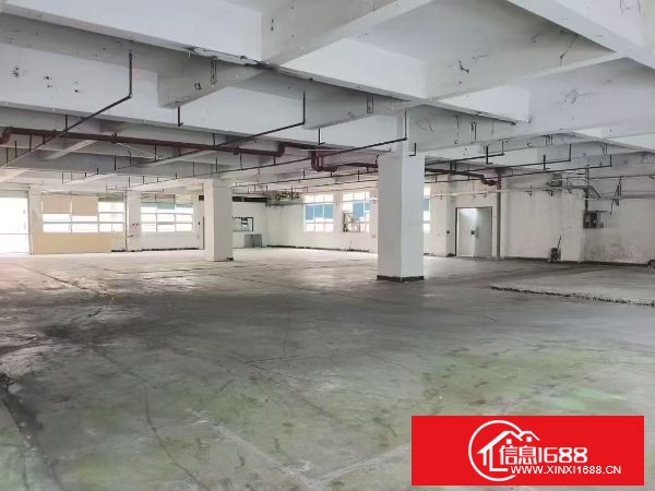 东莞长安镇新安社区标准厂房2楼1200平方，重工业厂房可承重，车间超大主线到位，带玻璃办公室，格局方正面积实用