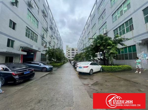 东莞塘厦平山高速附近 标准厂房楼上实际面积1800平，300平无尘车间，报价17