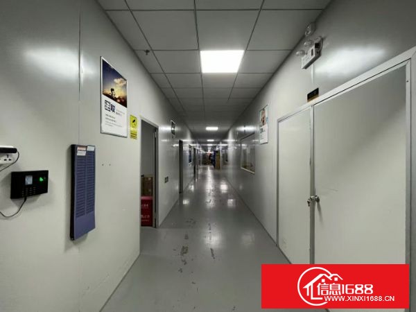 东莞塘厦平山高速附近 标准厂房楼上实际面积1800平，300平无尘车间，报价17