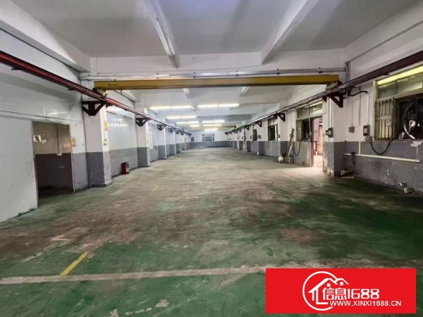 观澜新田 标准一楼：实际面积1500平方（带两部行车）价格实惠，租期超长