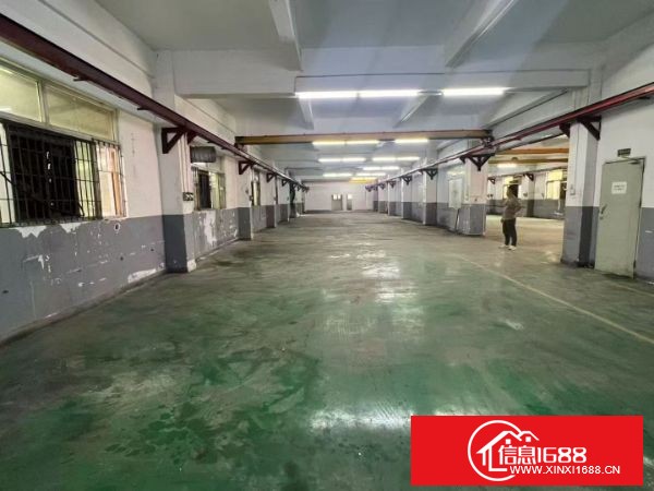 观澜新田 标准一楼：实际面积1500平方（带两部行车）价格实惠，租期超长