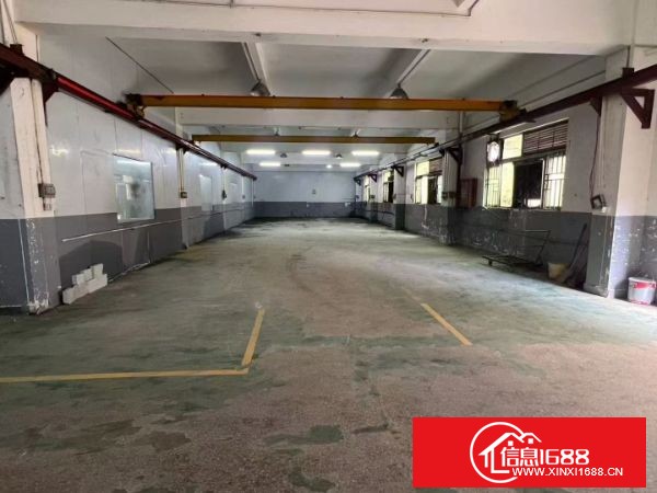 观澜新田 标准一楼：实际面积1500平方（带两部行车）价格实惠，租期超长