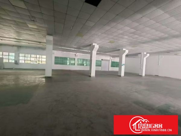 塘厦林村 原房东独院厂房 厂房1-2层面积6000平米 宿舍1-5层1500平米 办公楼1-3层1000平米 大小面积可分租