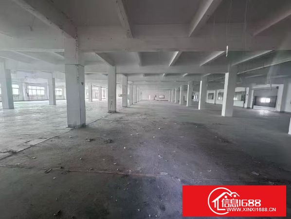 塘厦林村 原房东独院厂房 厂房1-2层面积6000平米 宿舍1-5层1500平米 办公楼1-3层1000平米 大小面积可分租