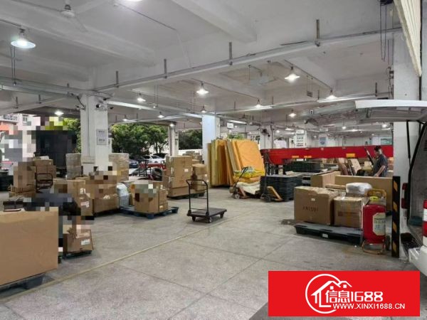 龙华红本厂房新出一楼1480平，前后共14个超大卷帘门，非常适合国际物流，大件物流仓储，展厅等