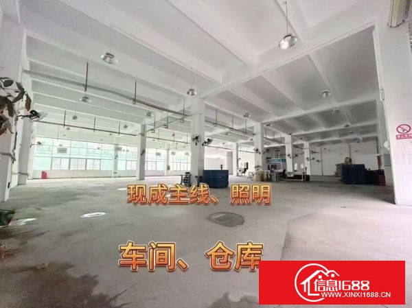 坂田大型园区，新出1楼2380㎡，200平方起分租，带现场办公室水电装修，合适即可拎包生产