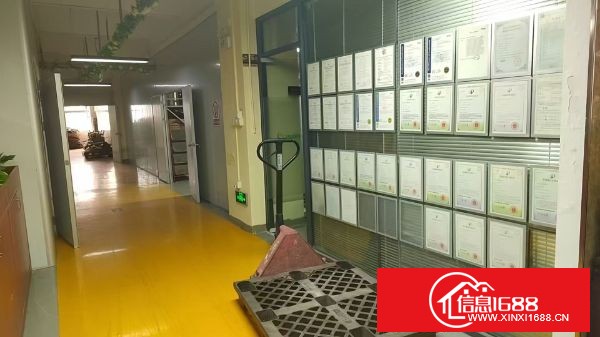 坪山大工业区原房东红本四楼737平 带现成装修 两部三吨大电梯