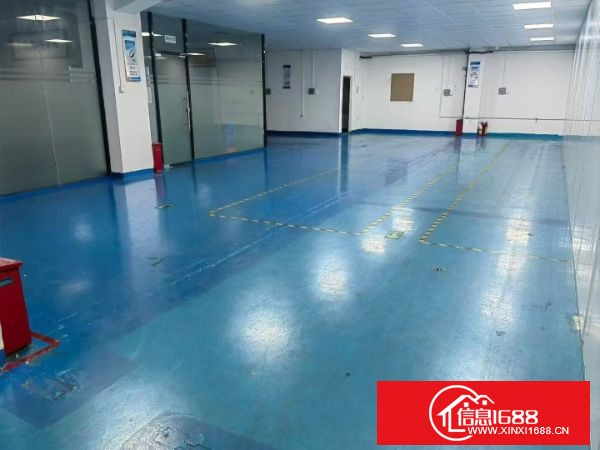 东莞长安增田街口附近二楼600㎡，全新豪华装修 拎包入住