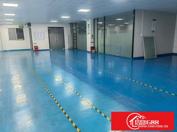 东莞长安增田街口附近二楼600㎡，全新豪华装修 拎包入住