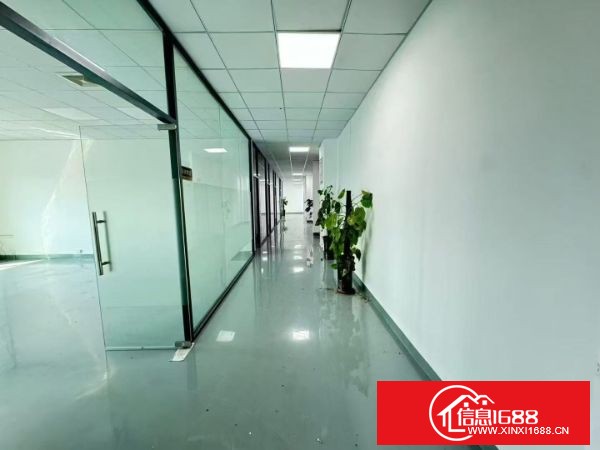 东莞长安乌沙新出楼上1100方 现成精装修，水电齐全