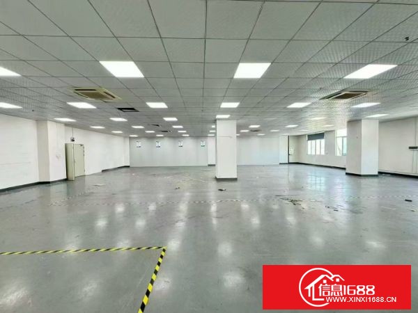 东莞长安乌沙新出楼上1100方 现成精装修，水电齐全