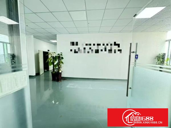 东莞长安乌沙新出楼上1100方 现成精装修，水电齐全