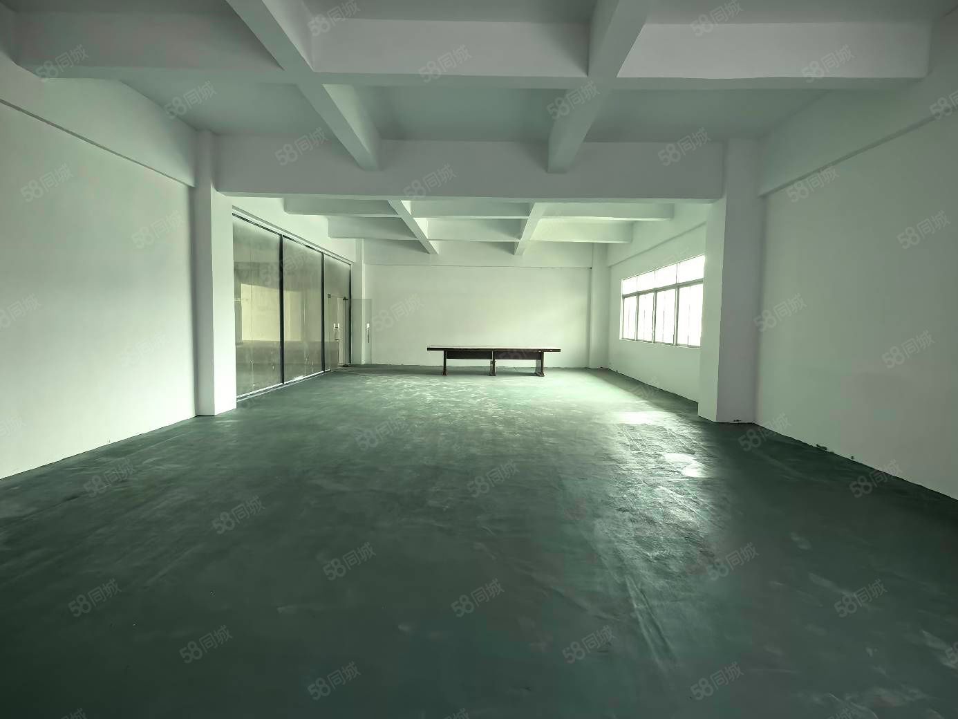 (出租) 仲恺陈江惠环大道原房东独门独院9500平方厂房仓库出租空地大