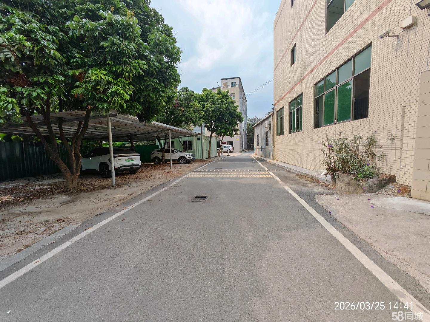(出租) 仲恺陈江原房东出租厂房仓库