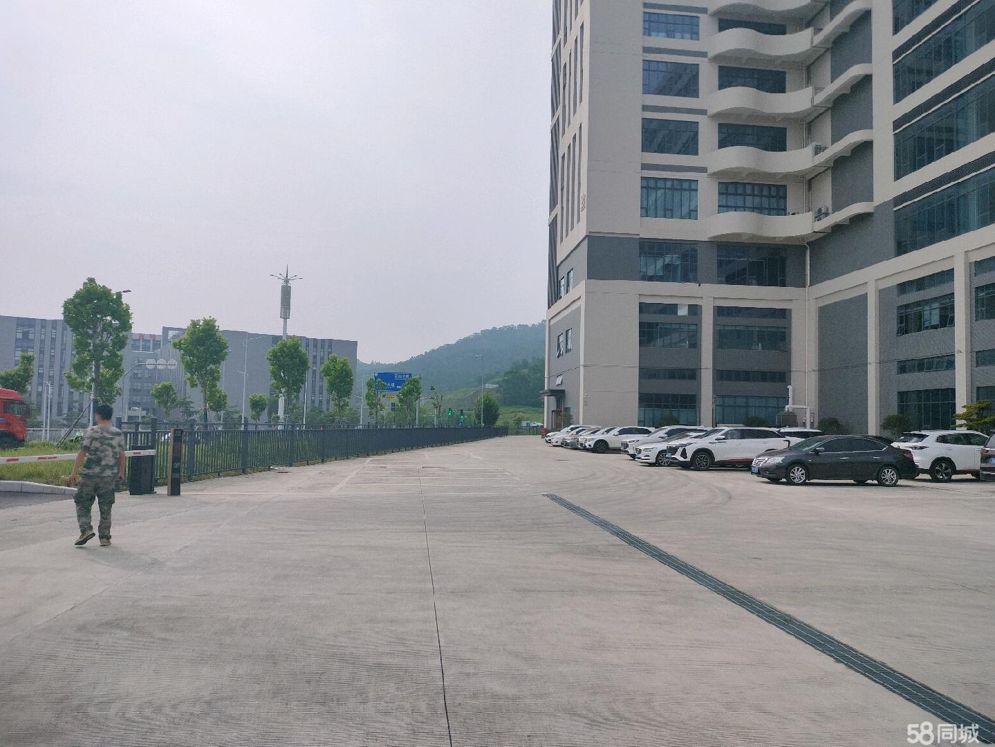 (出租) 全新厂房出租：每层3100平