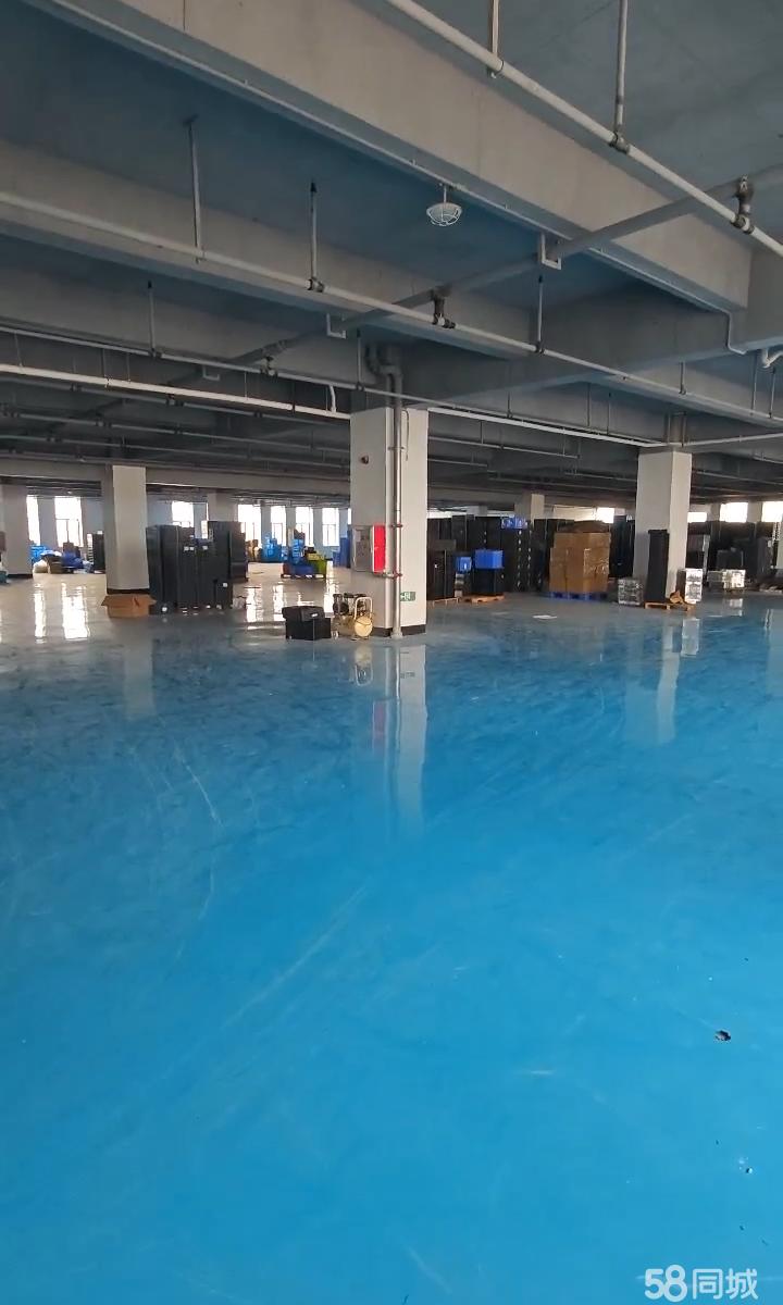 (出租) 一手房东，欢迎实地考察