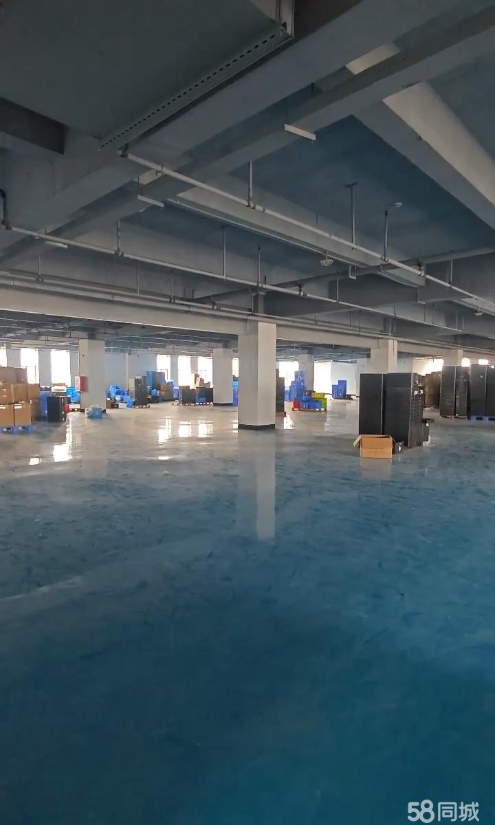 (出租) 一手房东，欢迎实地考察