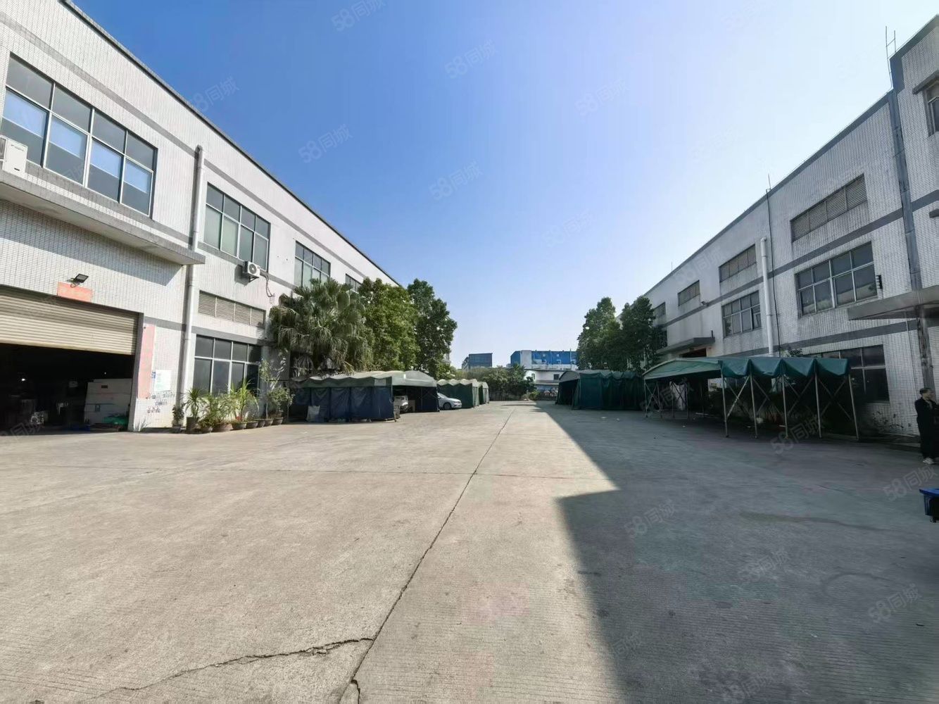 (出租) 出租:大岭山镇新出独院单一层厂房3800平米,精装修办公室