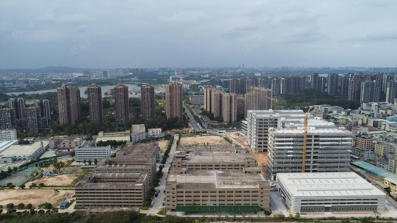 (出租) 松湖南大朗资产现代科技产业园高标准工业厂房15元平起出租