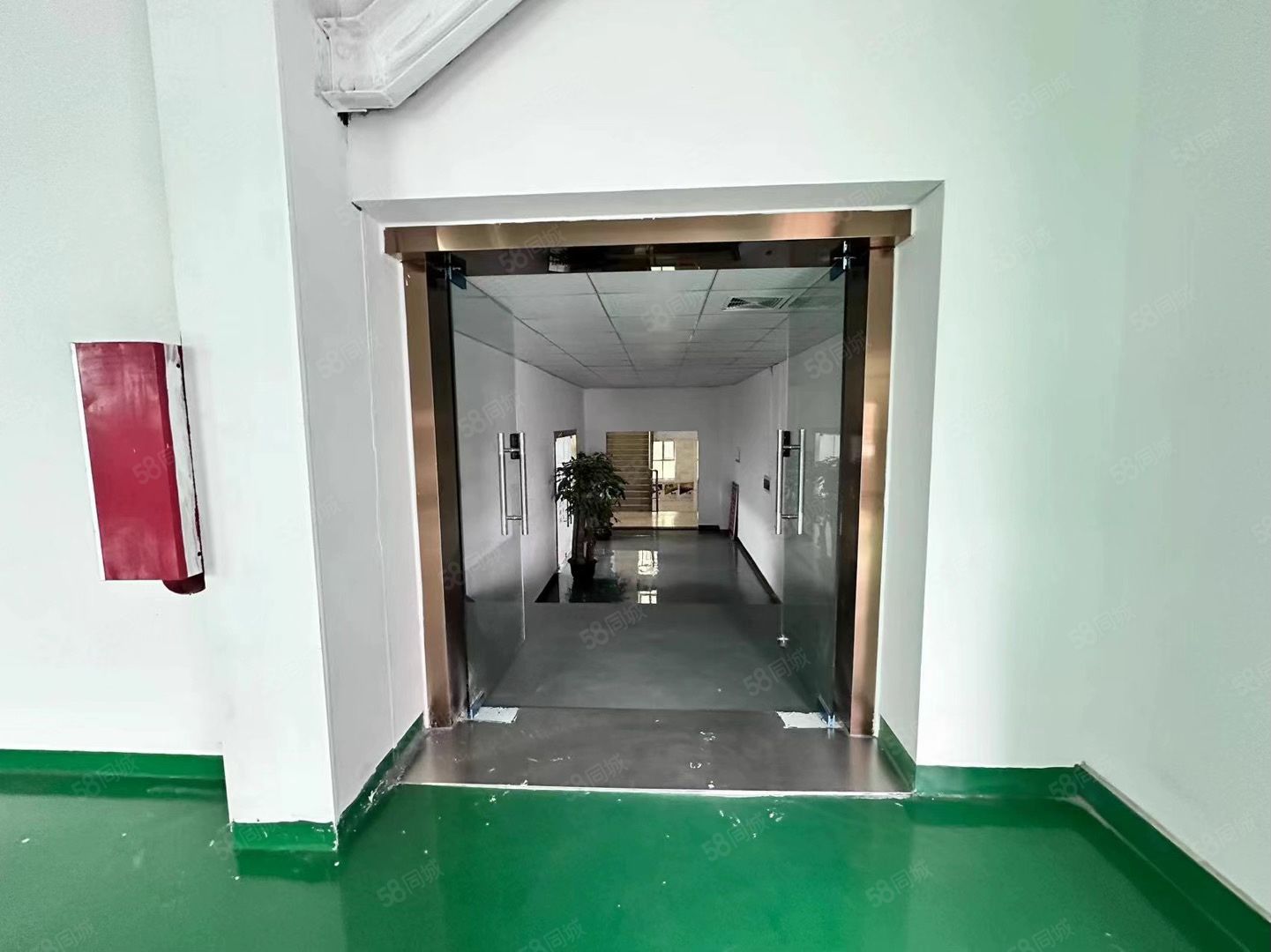 (出租) 大岭山杨屋原房东厂房出租水电齐全全新地坪漆实际面积价格便宜