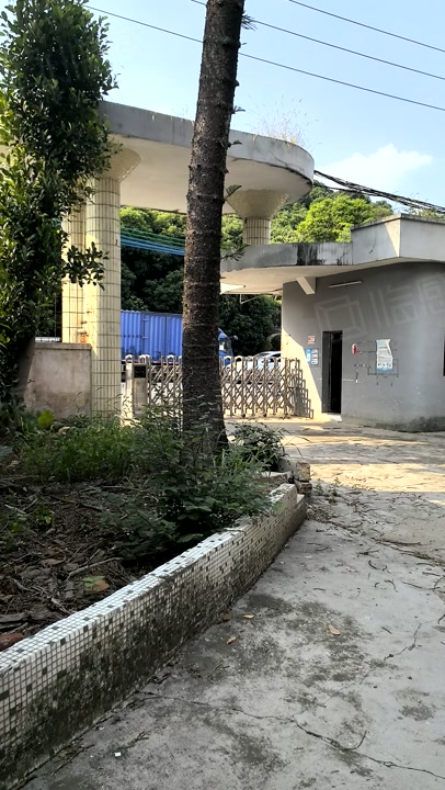 (出租) 大岭山独门独院单一层楼房厂房招租