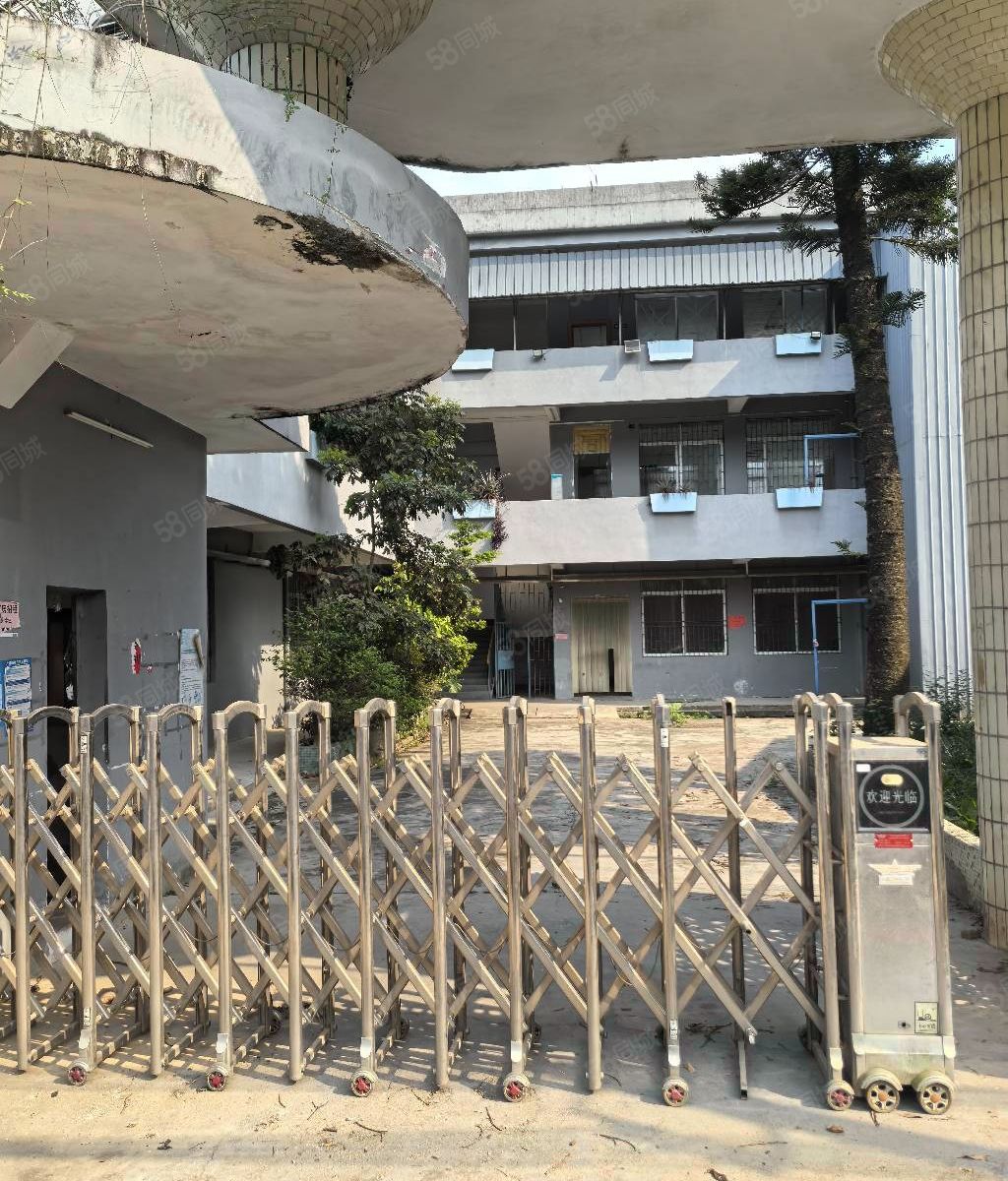 (出租) 大岭山独门独院单一层楼房厂房招租