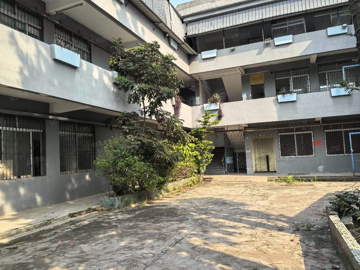 (出租) 大岭山独门独院单一层楼房厂房招租
