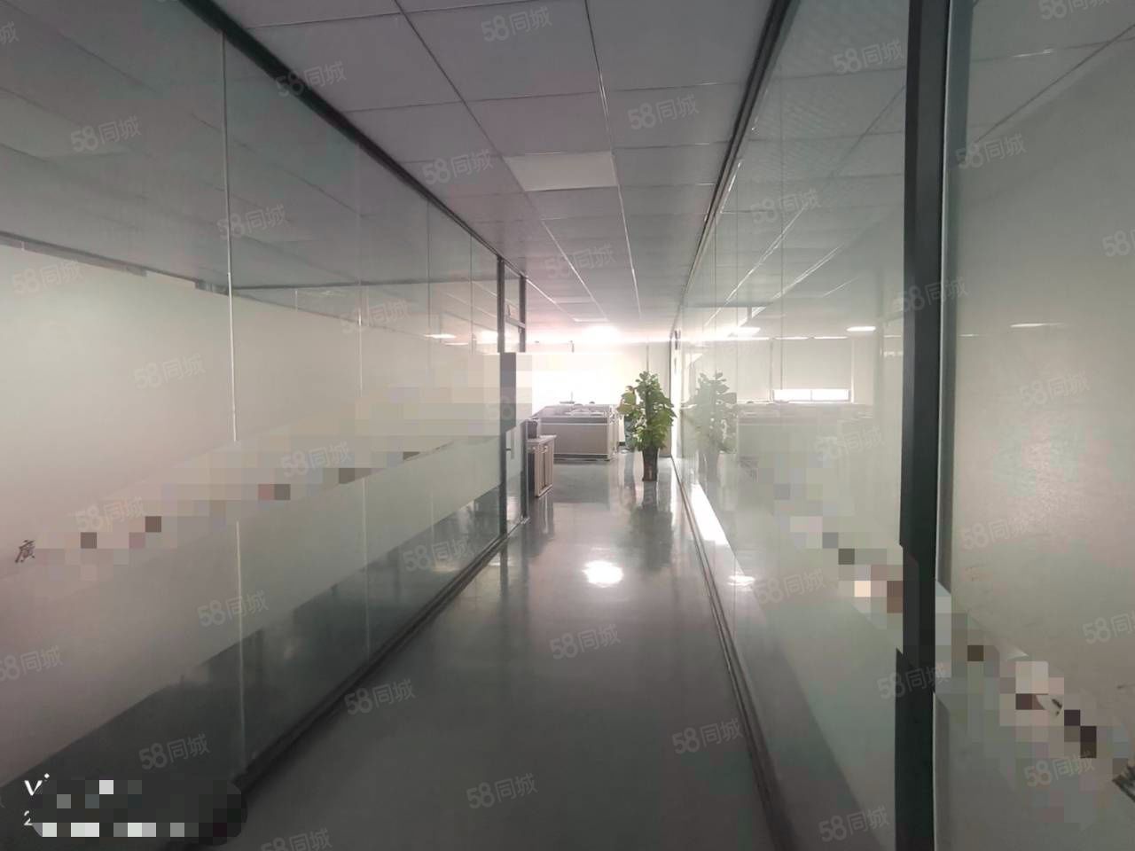 (出租) 新出来一楼厂房出租2000方空地大方现成办公装修牛角价格优惠