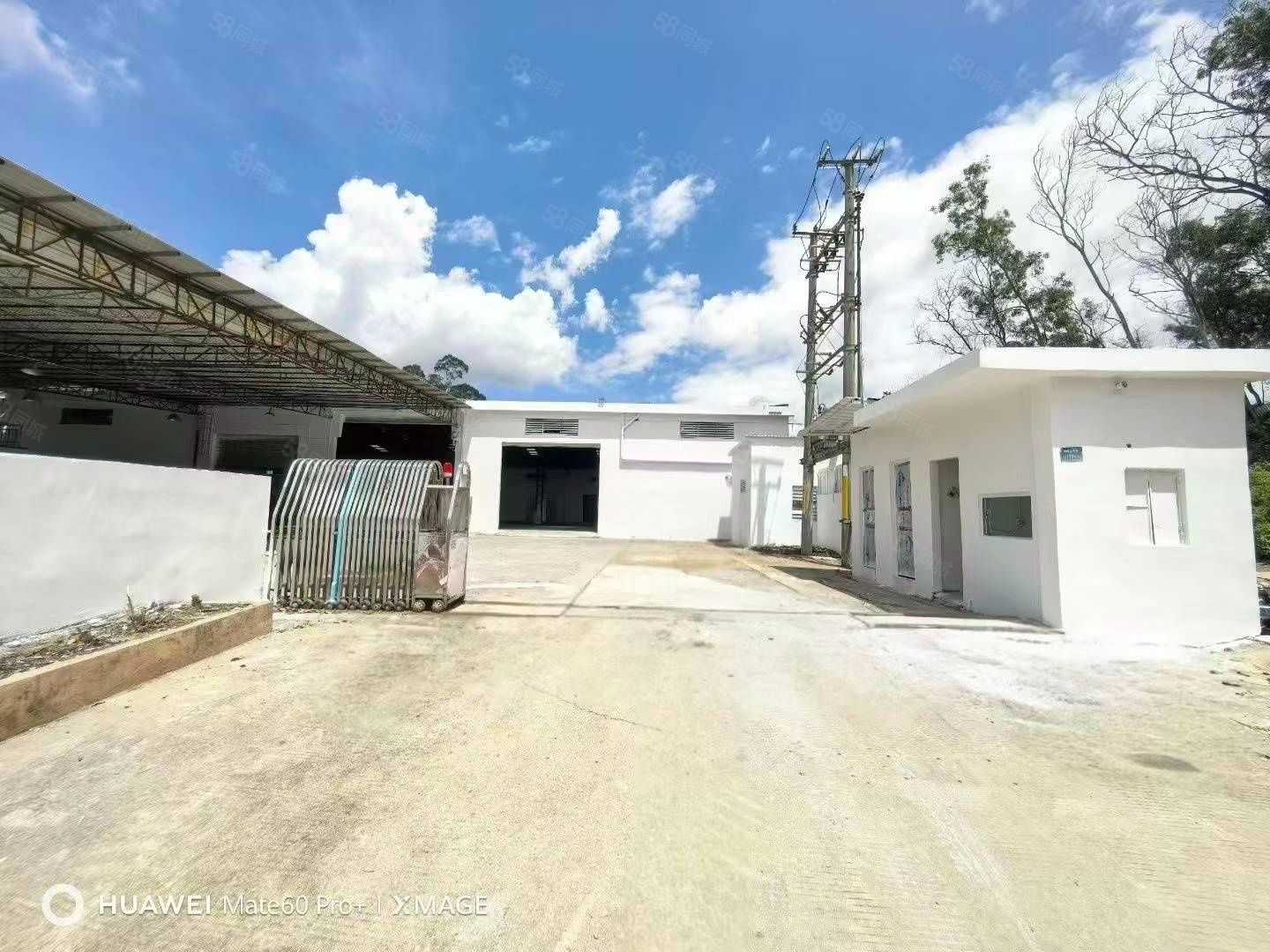 (出租) 大岭山杨屋独院单一层3300平带独立办公室出租